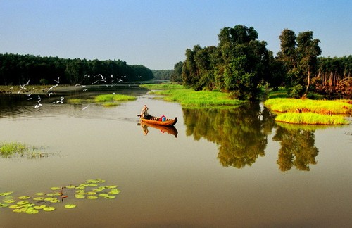 Tour of Mekong River Delta in flood season - ảnh 3